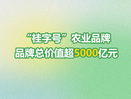 “桂字号”农业品牌大放异彩，品牌总价值超5000亿元