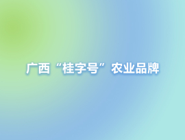 广西“桂字号”农业品牌总产值超1600亿元