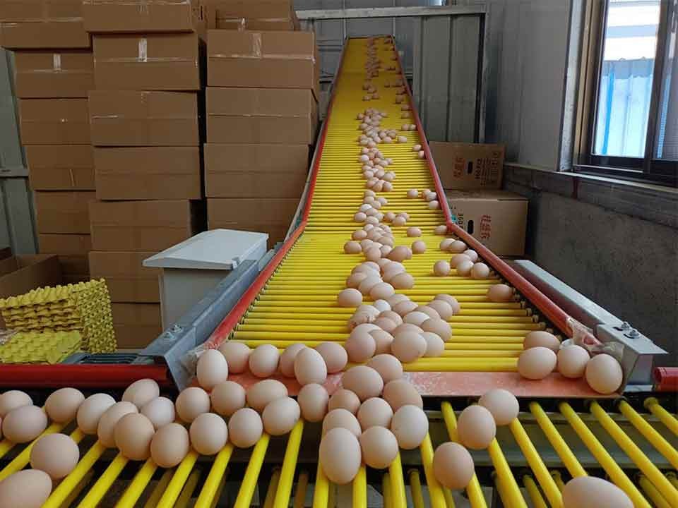 资源县盛德农业科技发展有限公司“桂盛农”鸡蛋