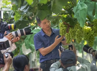 兴安县鑫鑫水果种植专业合作社