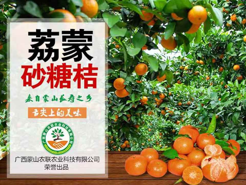 广西蒙山农联农业科技有限公司“荔蒙”砂糖桔