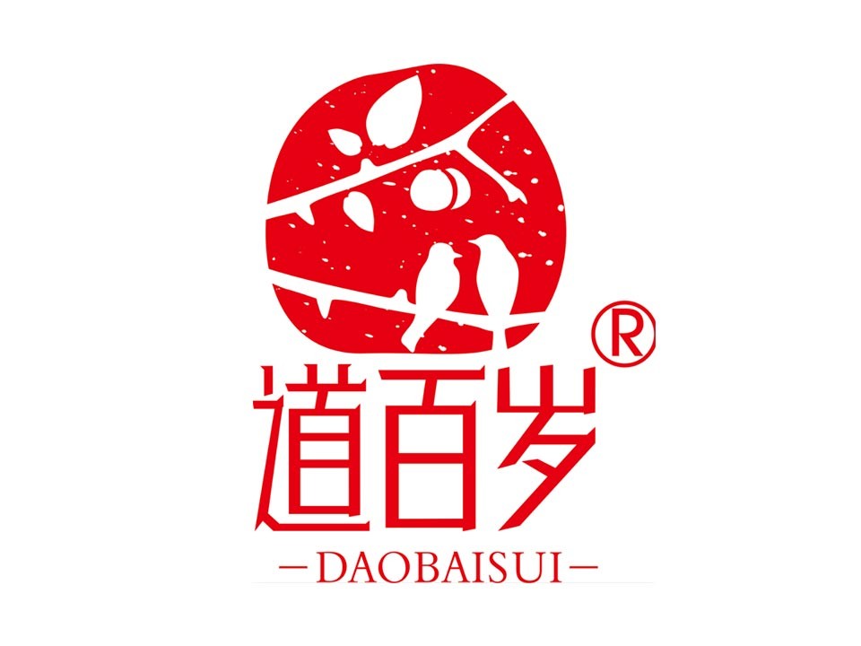 广西靖西梁鹏食品有限公司
