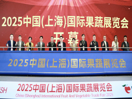 “桂字号”农产品亮相中国（上海）国际果蔬展览会