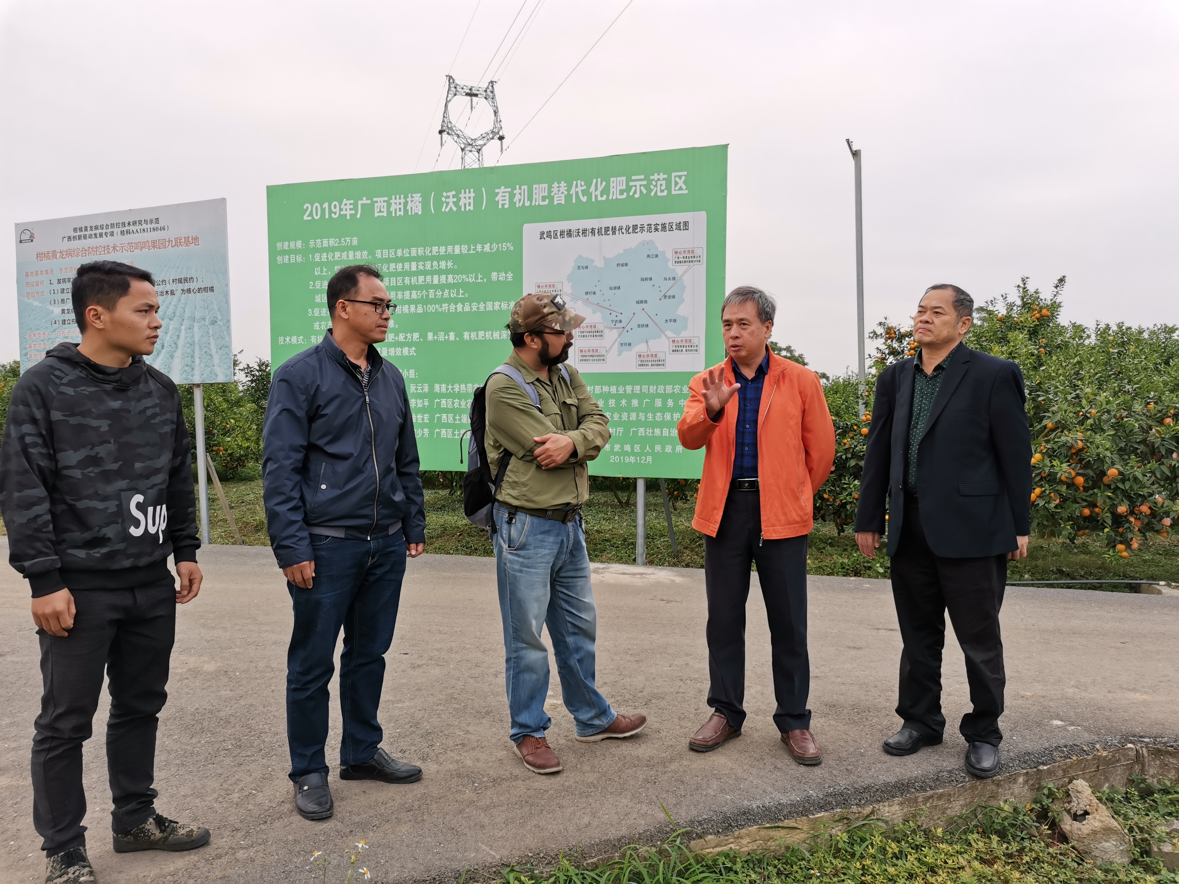 自治区农业农村厅领导到武鸣区调研果菜茶有机肥替代化肥项目推进情况