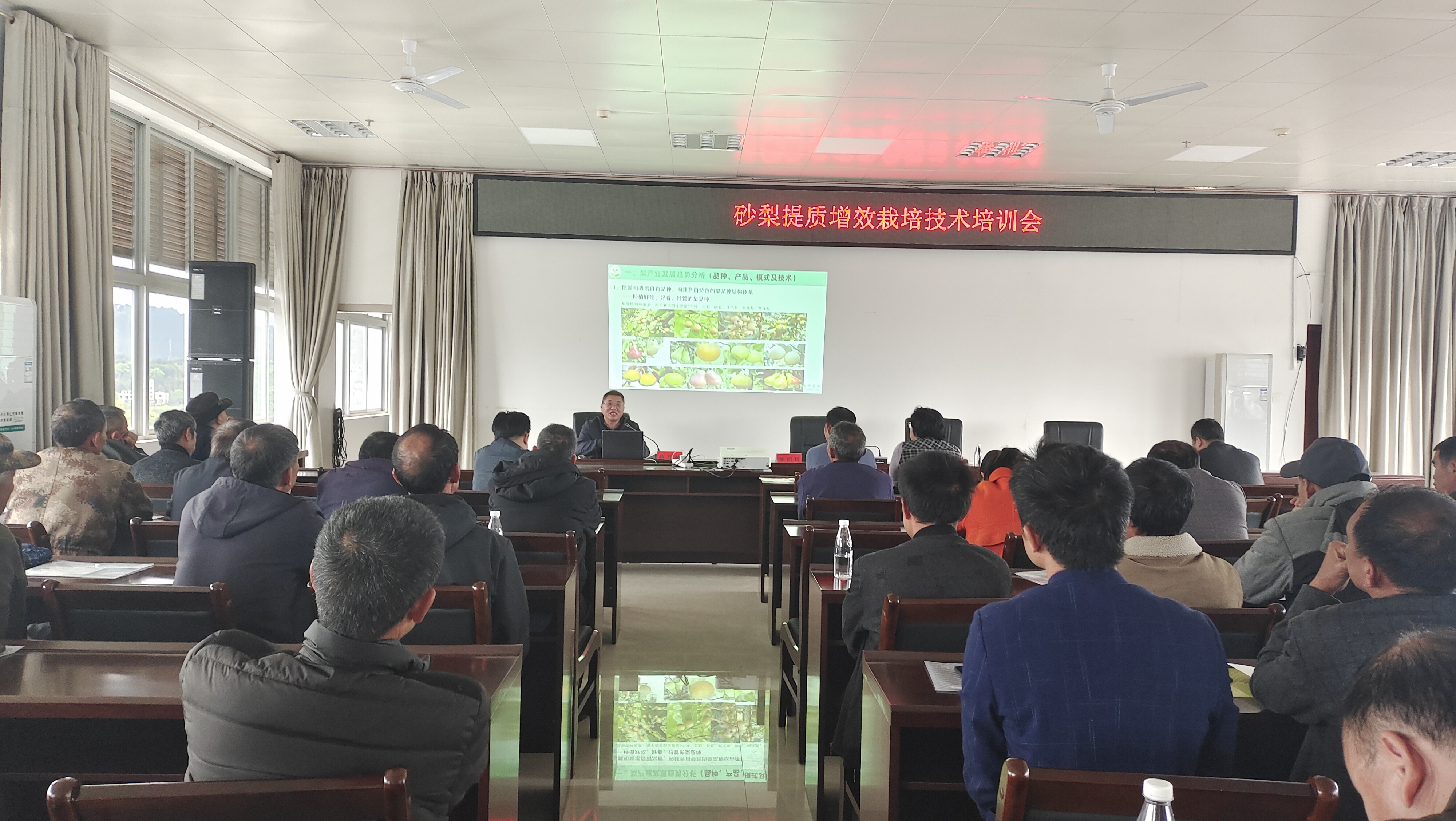 砂梨提质增效栽培技术培训会现场照片.jpg