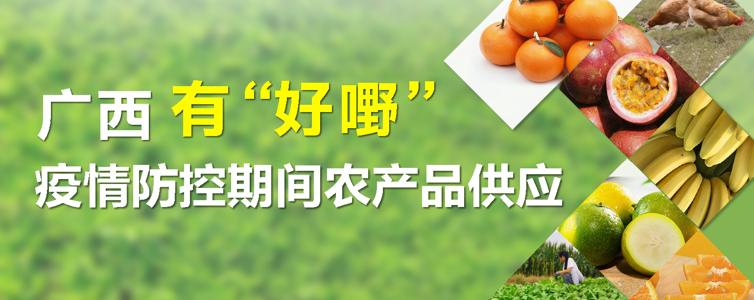 广西农产品贸易网农产品专栏