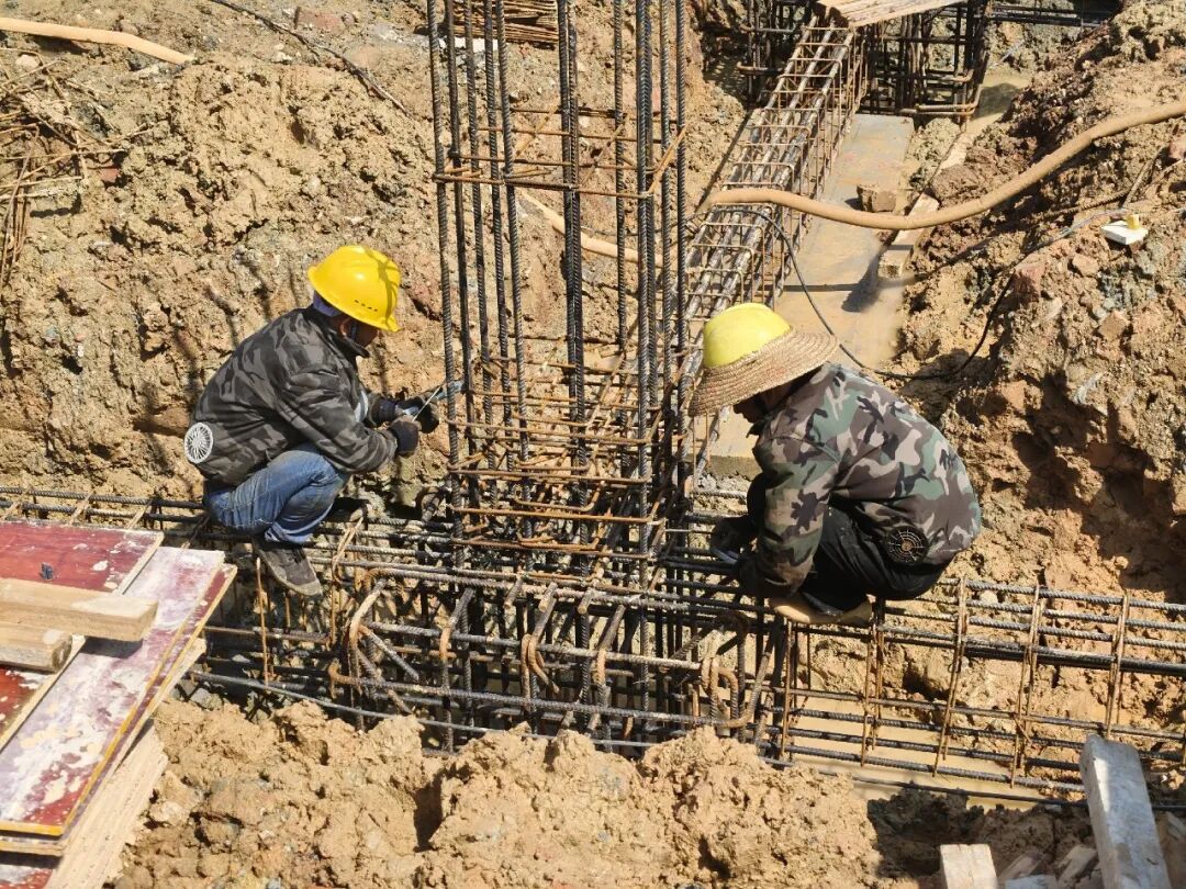 田阳区：农业智慧冷链基地建设提速 绘就果蔬产业振兴新图景