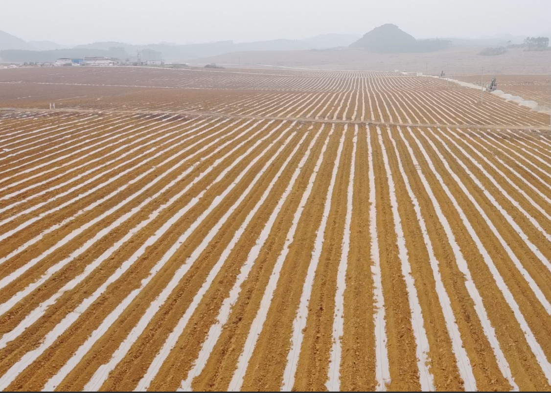 北斗导航“引路”崇左机械化种植夯实“甜蜜事业”根基(图2)