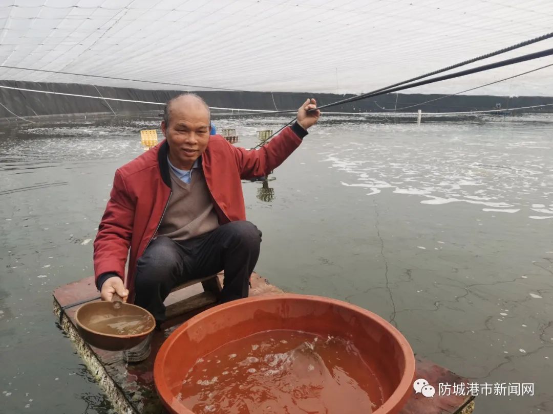 致富经室内养虾视频_致富经淡水虾养殖视频_致富经养虾