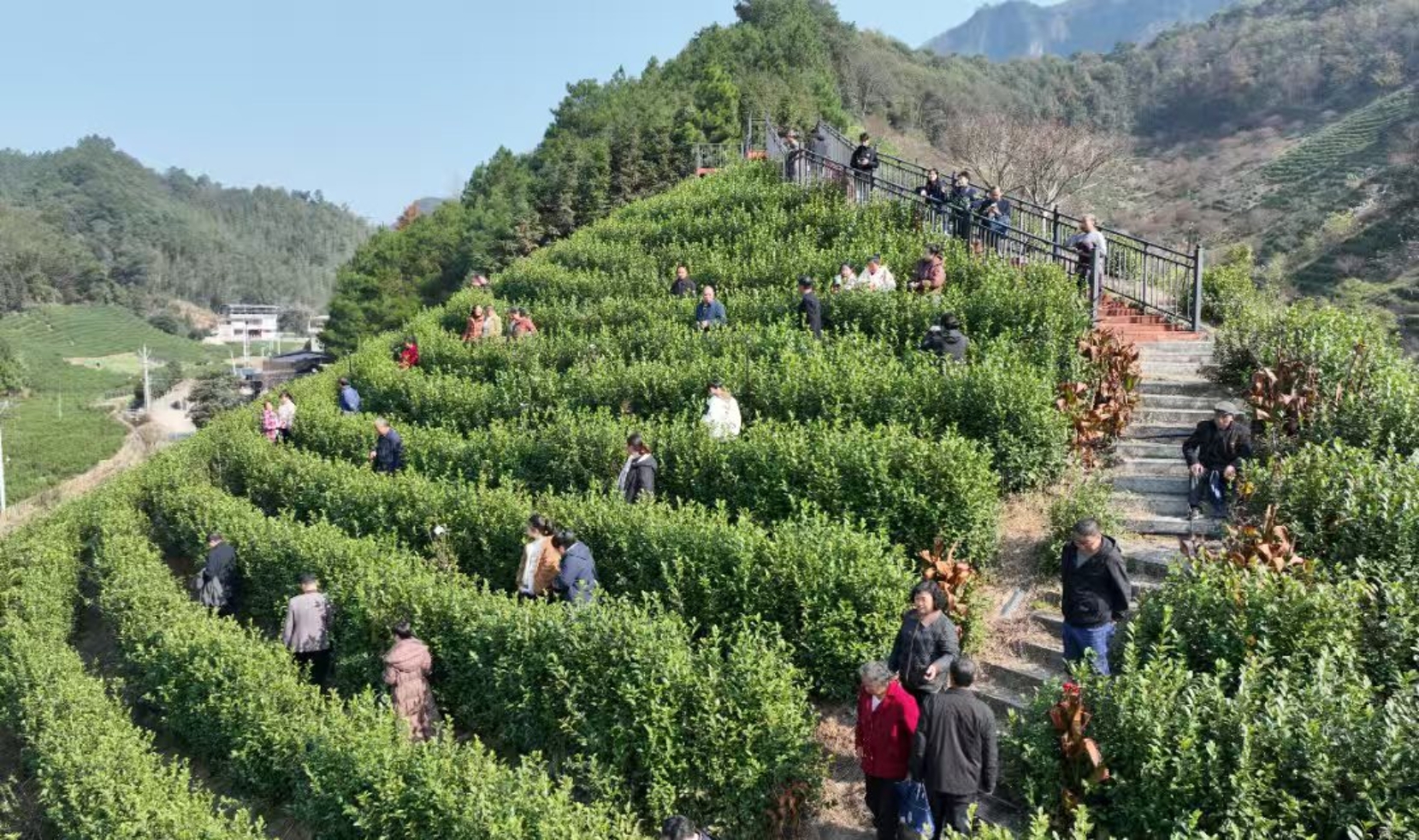 4698abe07676e996c274dd85c222268