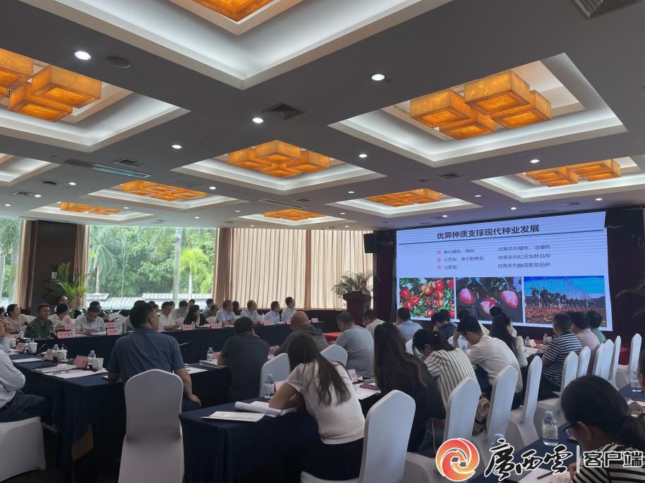 开云体育app2025年全国水果技术推广工作交流会在南宁召开