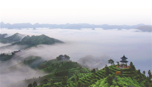 茶乡大地换新颜——凌云县整县脱贫摘帽工作纪实_广西