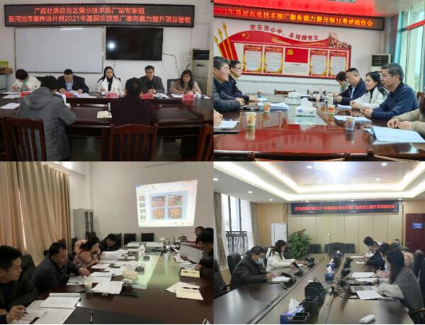 广西蚕业科学研究院组织专家验收各分院项目
