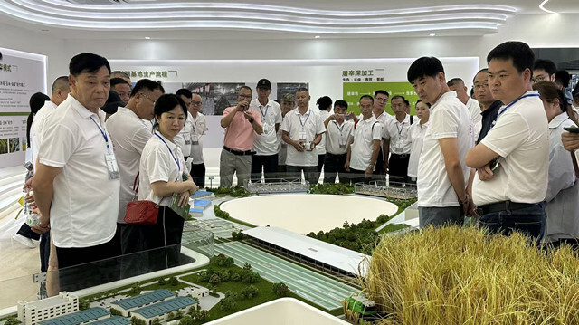 9.现场教学.jpg