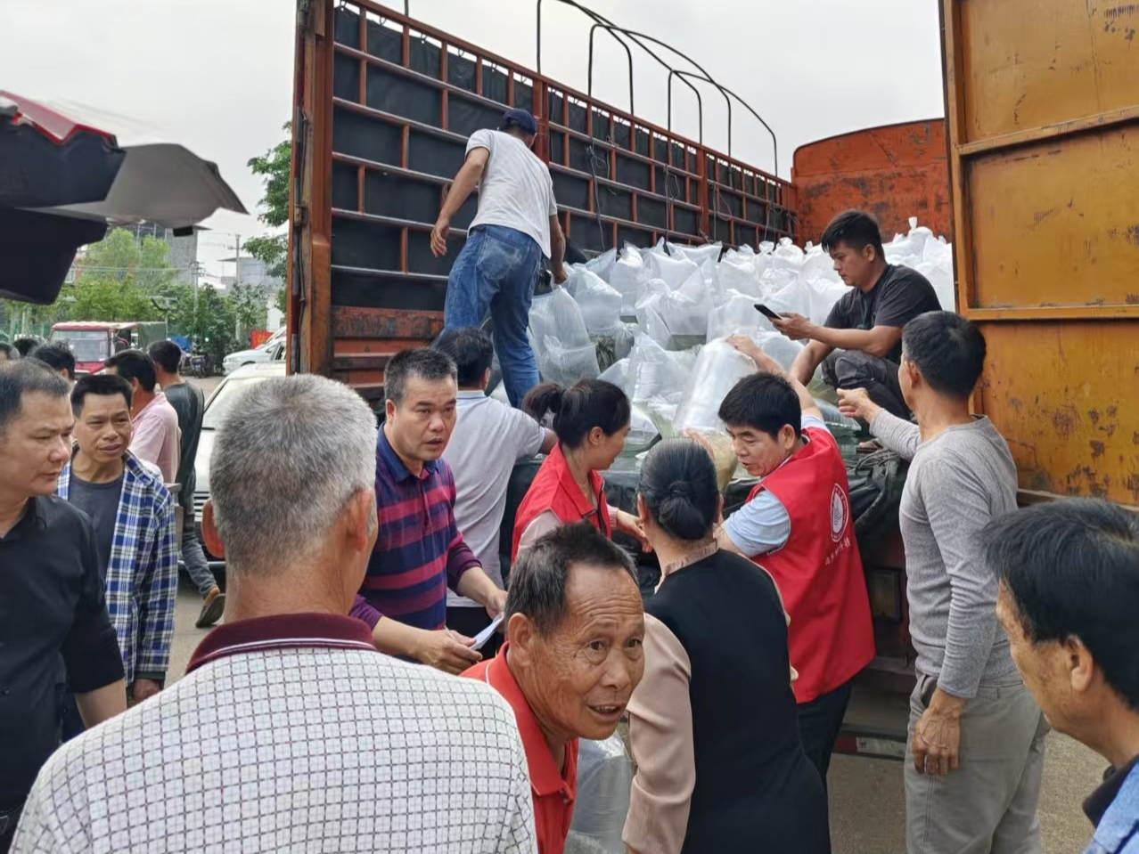 鱼苗发放现场.jpg
