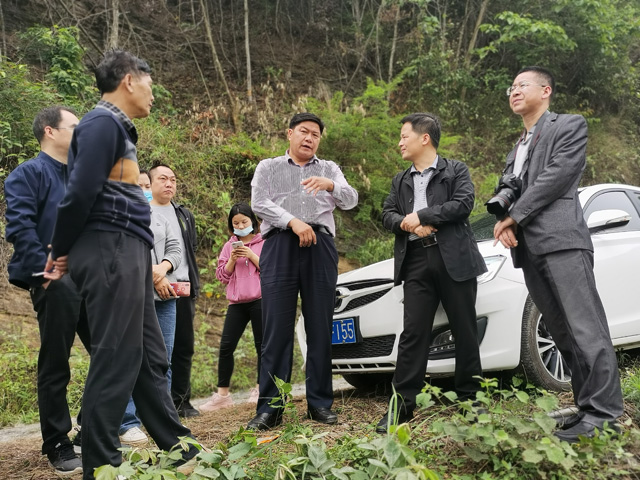 天峨县领导调研龙福岛乡村旅游开发项目