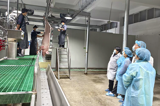 专家组现场核查屠宰场GMP升级改造建设运营动态情况-1.jpg