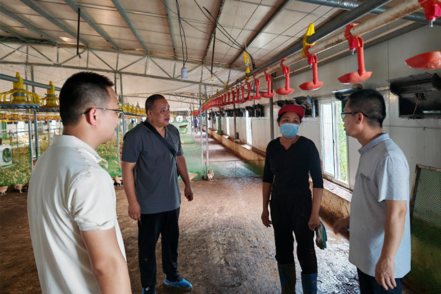 2、农业党员干部到红花镇红花村养殖场了解洪涝灾害情况,提出复产技术措施.jpg