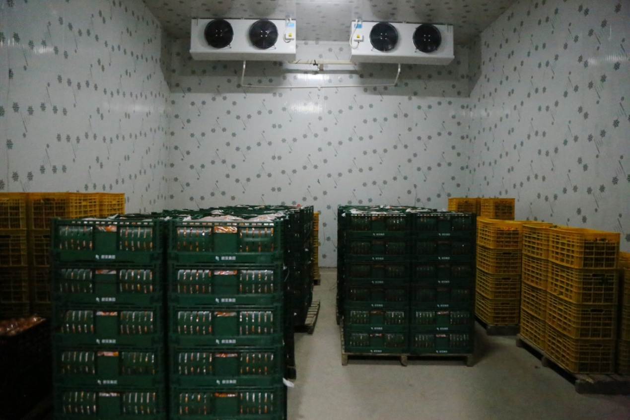 象州县加快推进农产品仓储保鲜冷链设施建设
