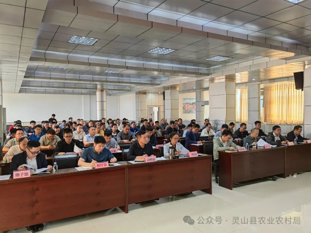 畜牧站总结_春季非洲猪瘟防控会议_灵山县畜牧兽医工作部署