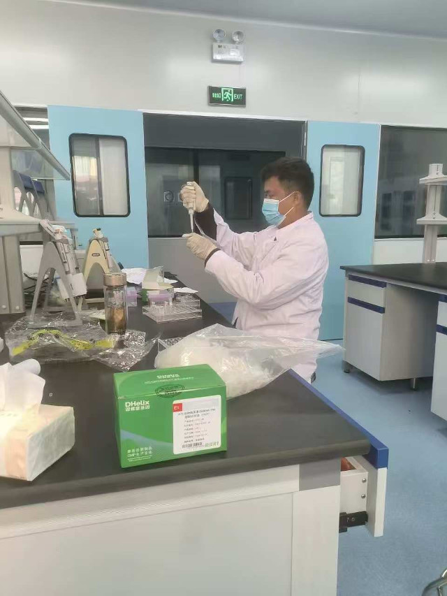 凯发K8旗舰厅AG登录实干为要 业绩说话 群众评价|台服暗黑