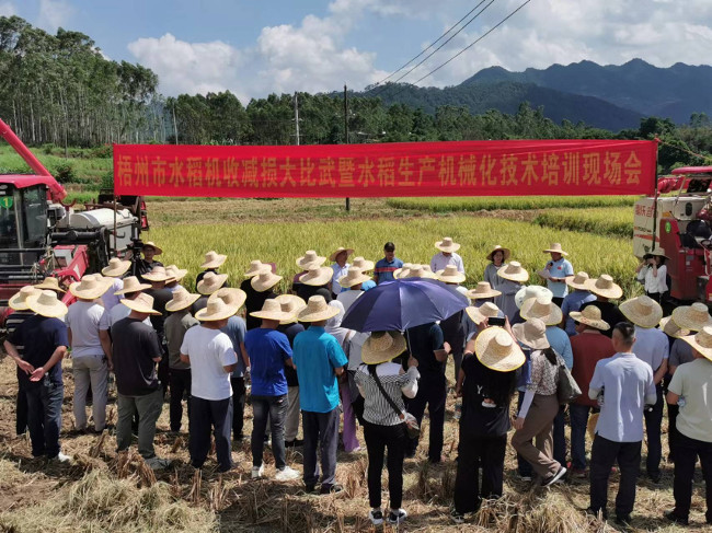 图片1-梧州市水稻机收减损大比武暨水稻生产机械化技术培训现场会副本.jpg
