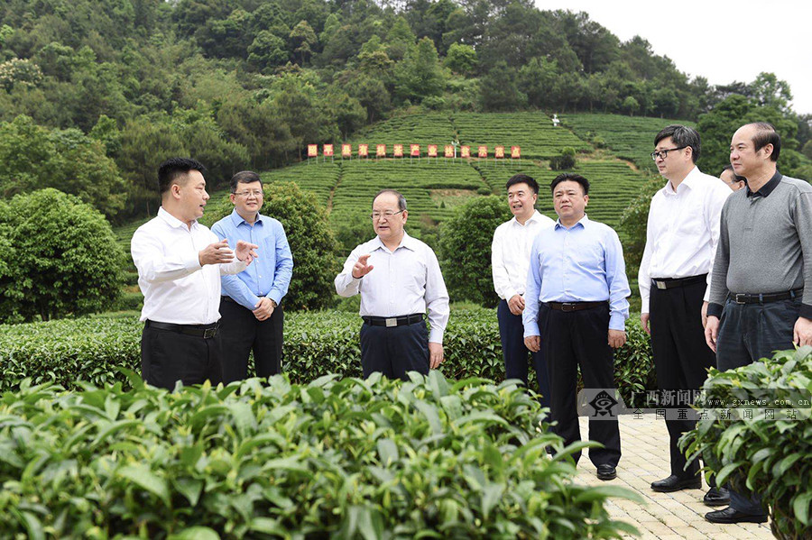 鹿心社在梧州贺州两市调研时强调抢抓机遇加快东融以