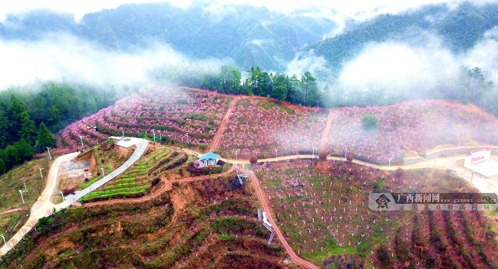 桂林:花样经济别样红火(组图)