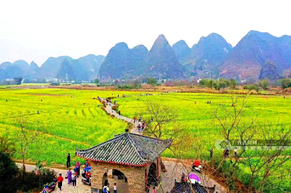 桂林:花样经济别样红火(组图)