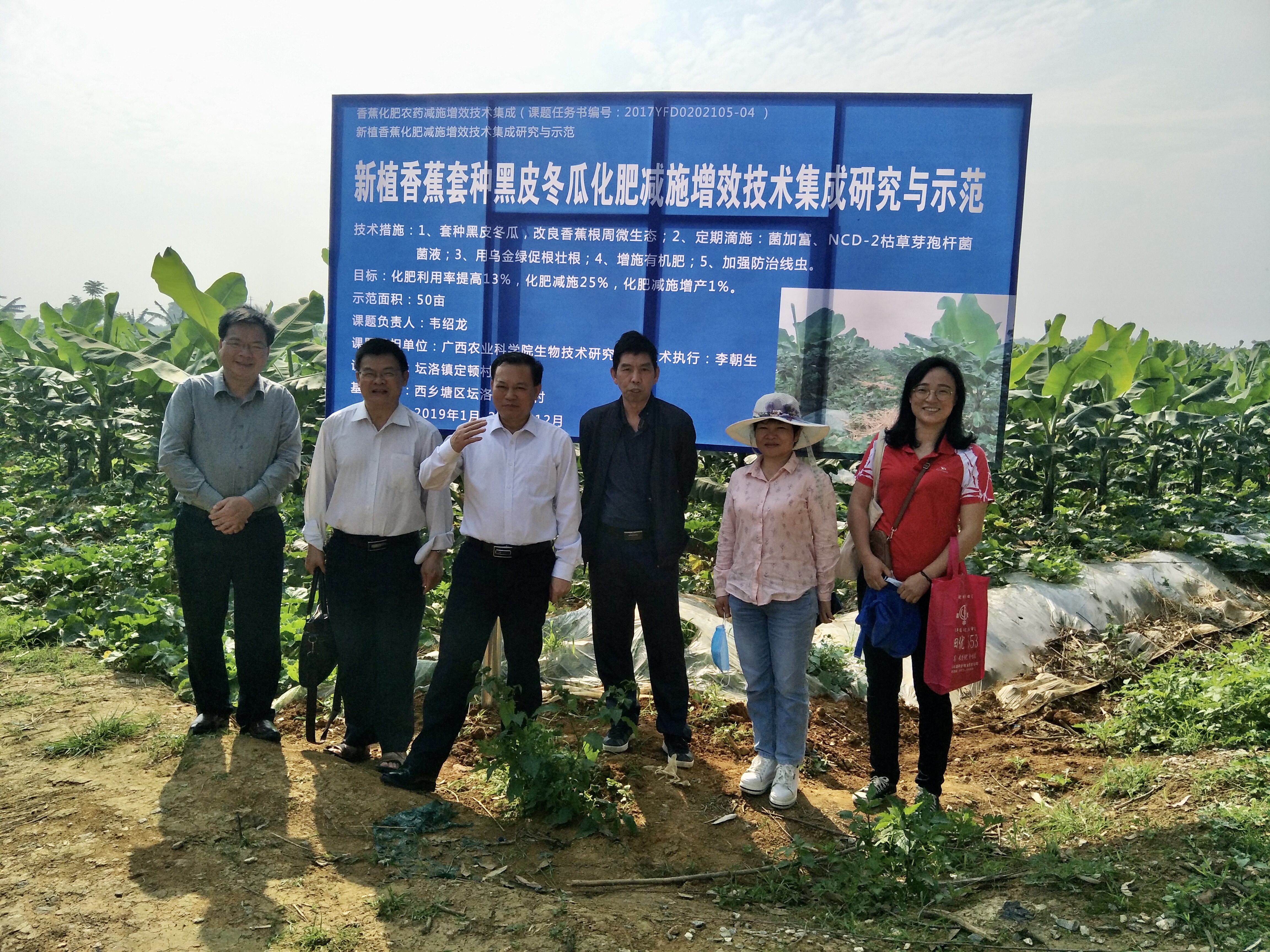 广西农科院组织专家对桂蕉9号香蕉套种黑皮冬瓜技术研究与示范项目