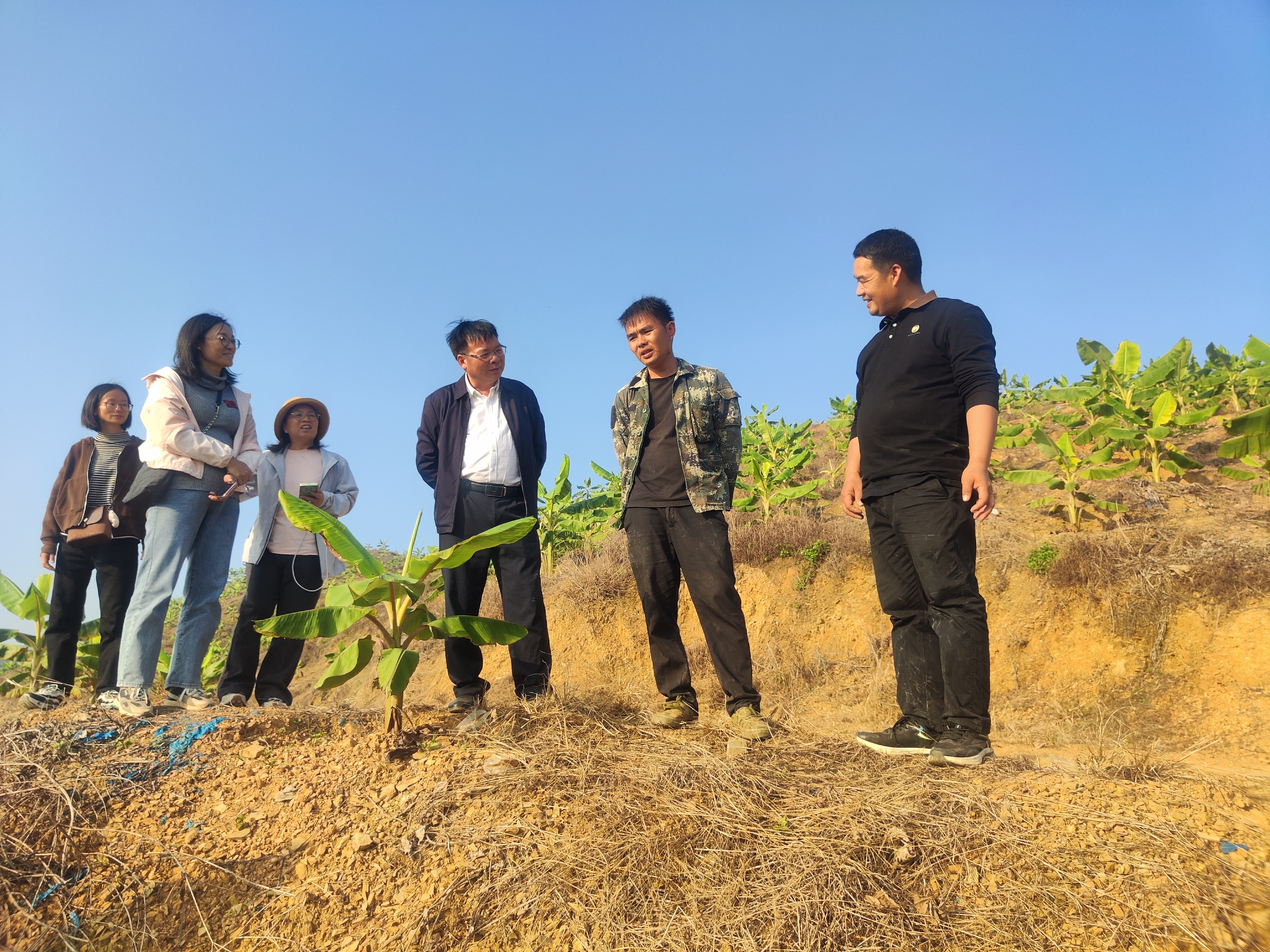 广西香蕉创新团队首席到百色隆林指导工作 (2).jpg