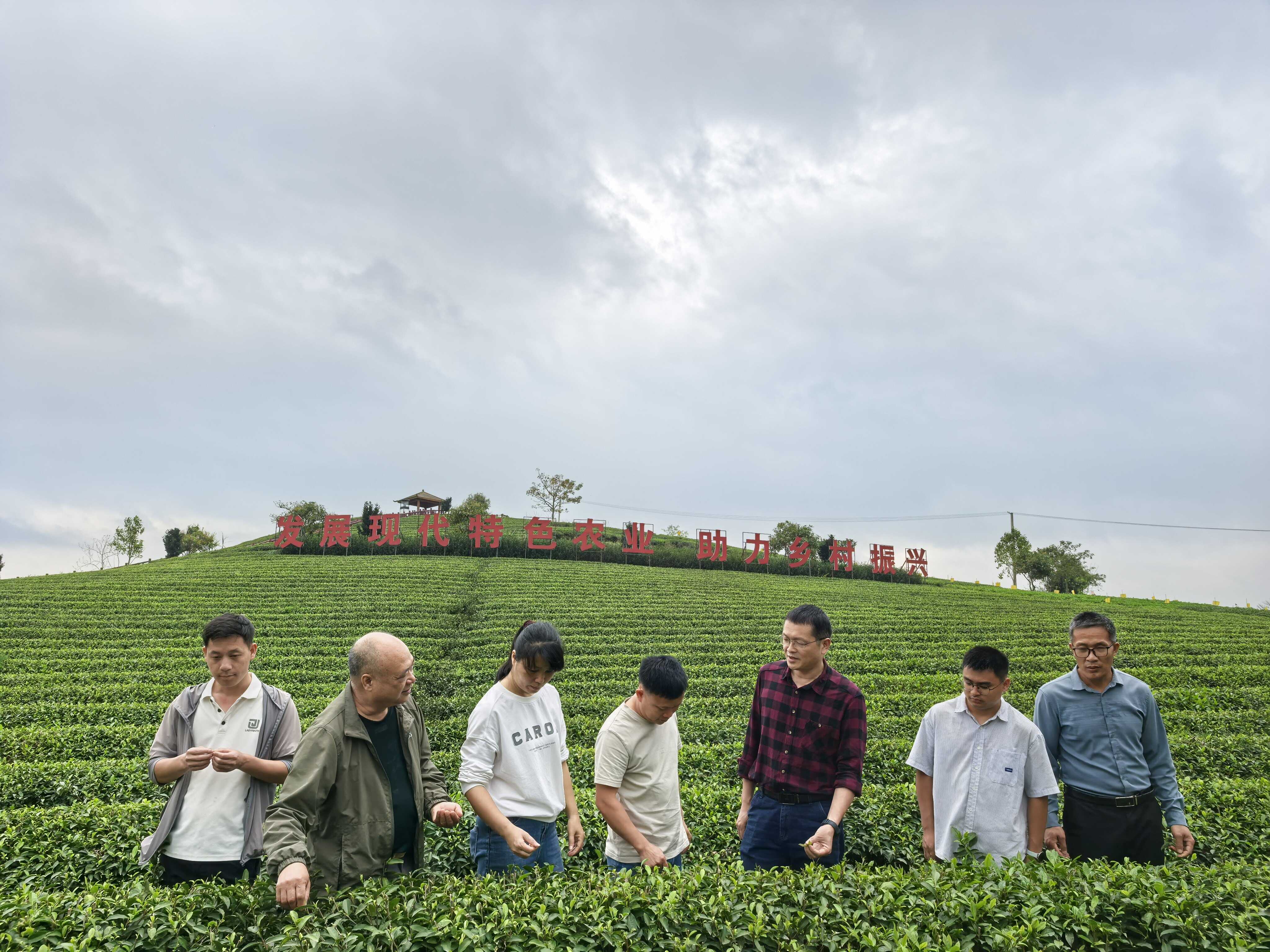 到灵山县茗桂茶业有限公司进行技术指导.jpg