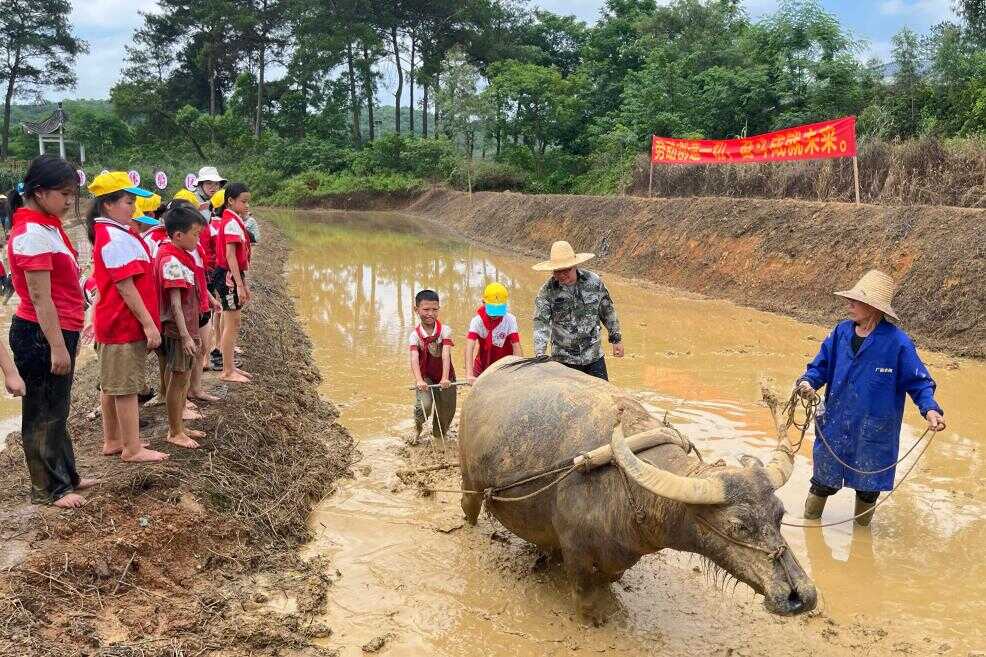 贡模研学实践教育基地主题研学活动现场。莫鸿香 摄.png